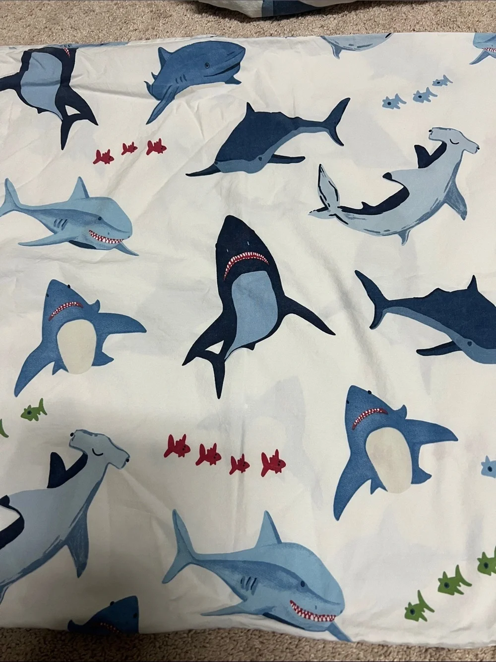 Pottery Barn Kids Shark Bite Sheets full
